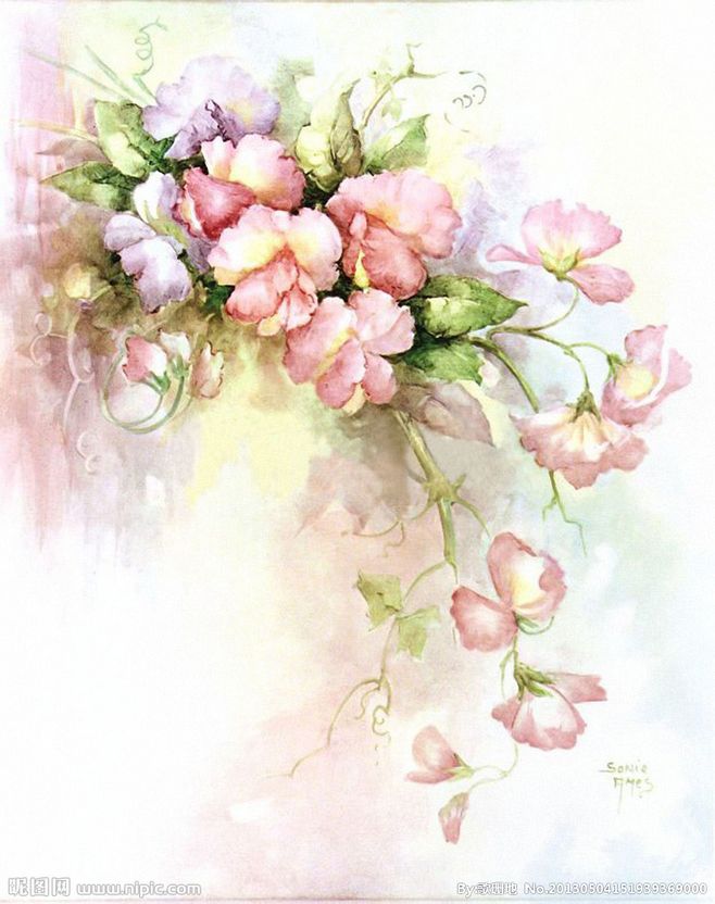 水彩花卉画的搜索结果_360图片搜索@--噜噜--采集到色彩(529图)_花瓣插画